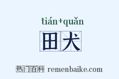 田犬是什么意思的图片